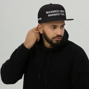Nerdy Liberty & Taxes Snapback Hat